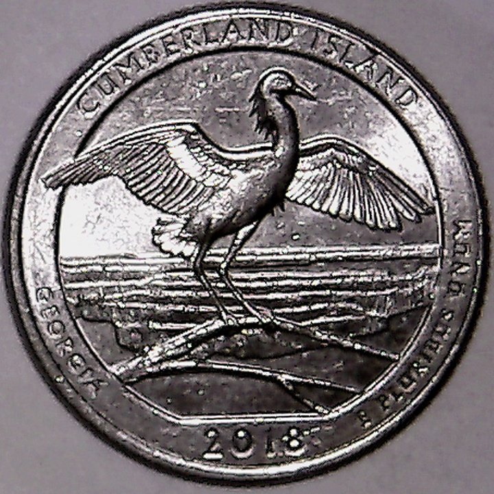 2018-P-Cumberland-Island-Ga-ATB-Quarter-Rim-Cud