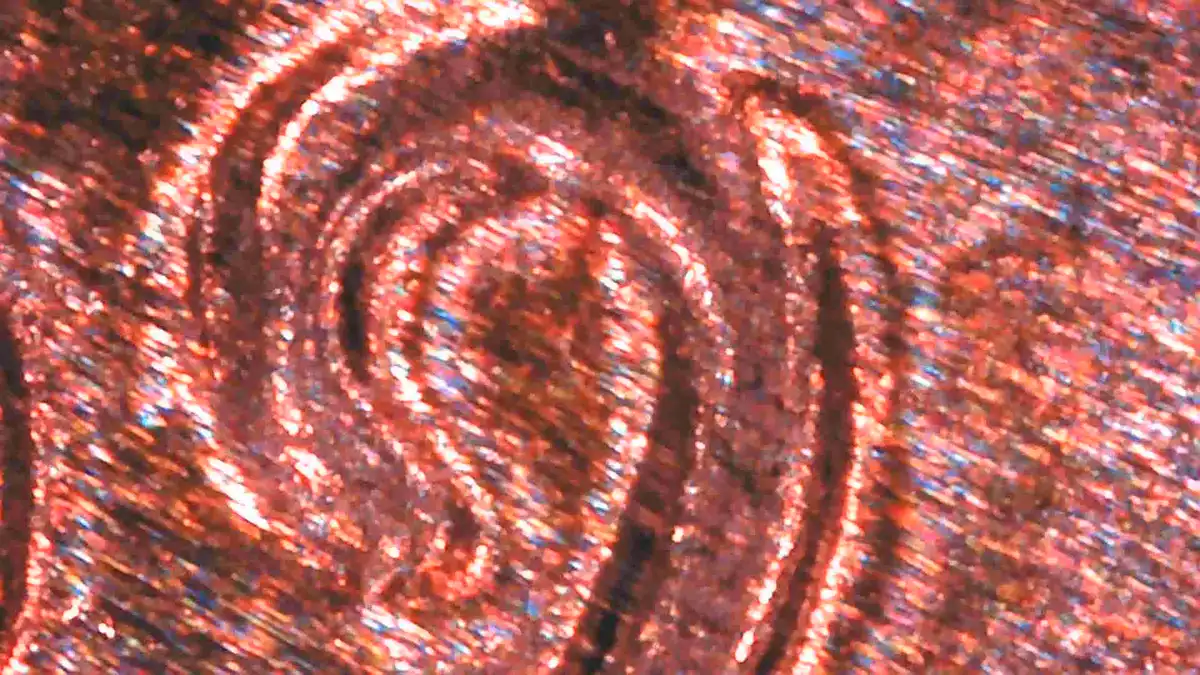 2009-D-Penny-Professional-Life-DDO-Or--Machine-Doubling?
