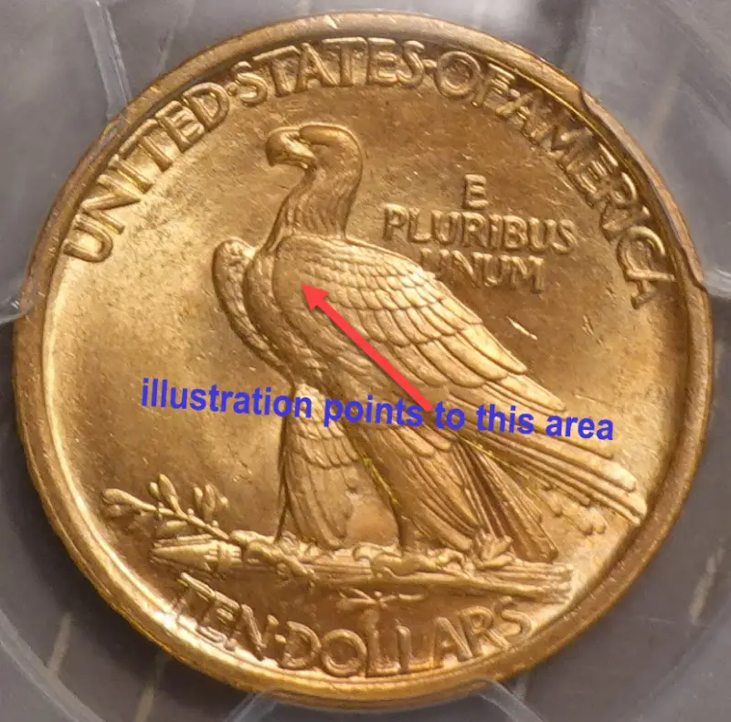 1907-Indian-Eagle-PCGS-Vs-You