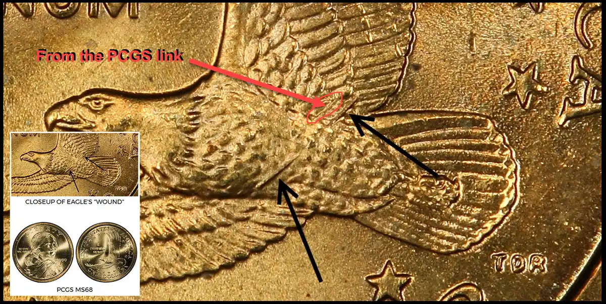 Is-This-Sac-Wounded-Eagle-Dollar-Real-Or-Counterfeit/Fake?