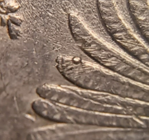 2015-Kisatchie-Quarter-~-Weird-Markings-And-Possible-Die-Chip