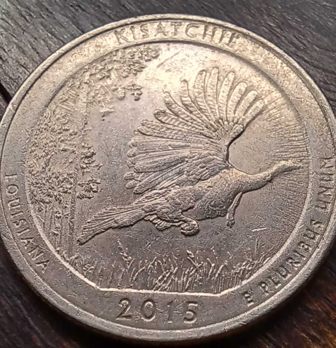 2015-Kisatchie-Quarter-~-Weird-Markings-And-Possible-Die-Chip