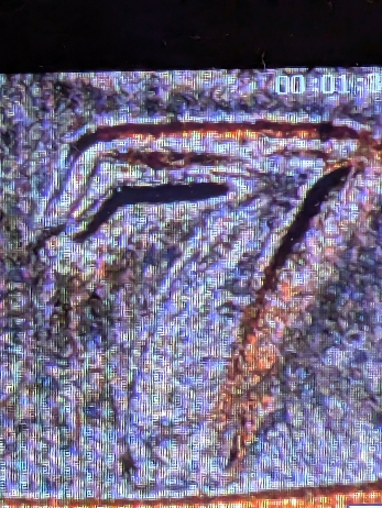1976-Nmm-Quarter-MD?
