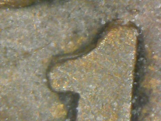 1897-Indian-Head-With-Possible-Repunched-Date?