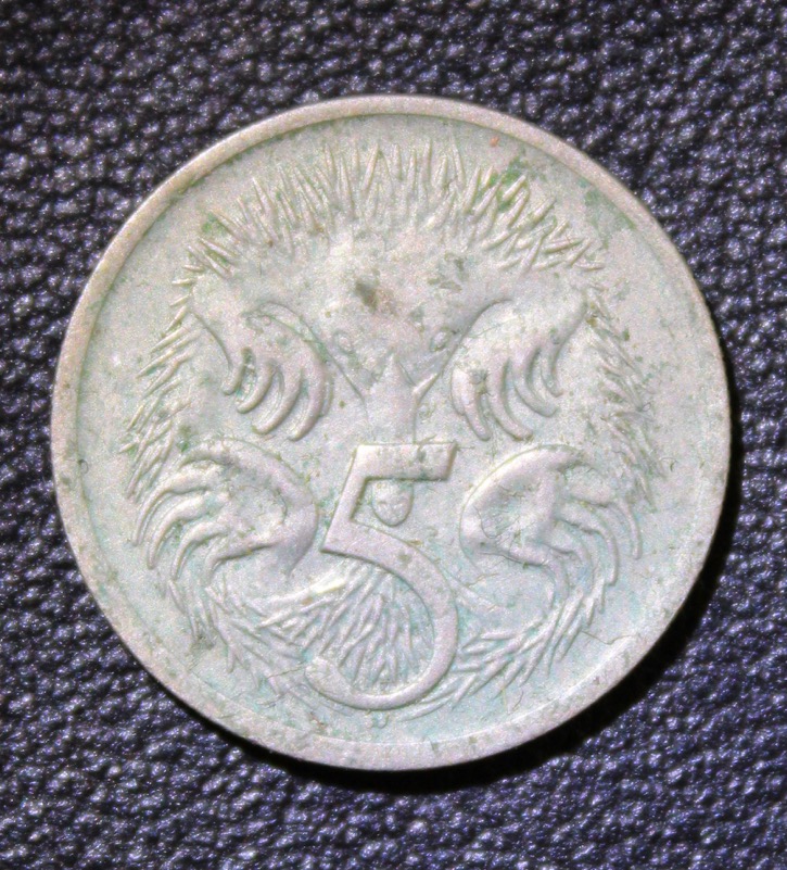 Post-Your-Coins-Representing-The-Animal-Kingdom.