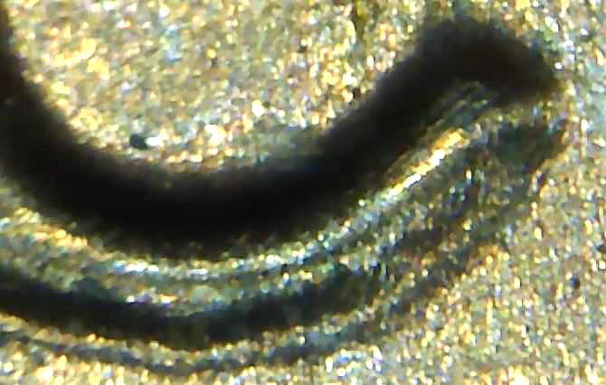 1983-D-Possible-Doubled-Die-DDO-DDR-And-Doubled-Lower-Ear