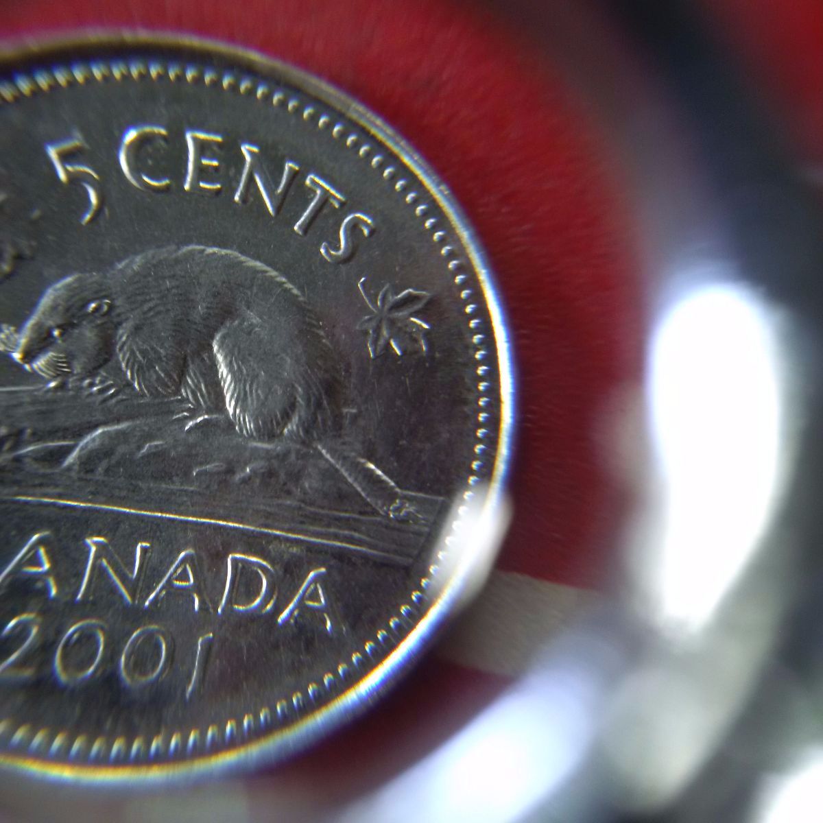 2001-Bug-Tail-Nickel?