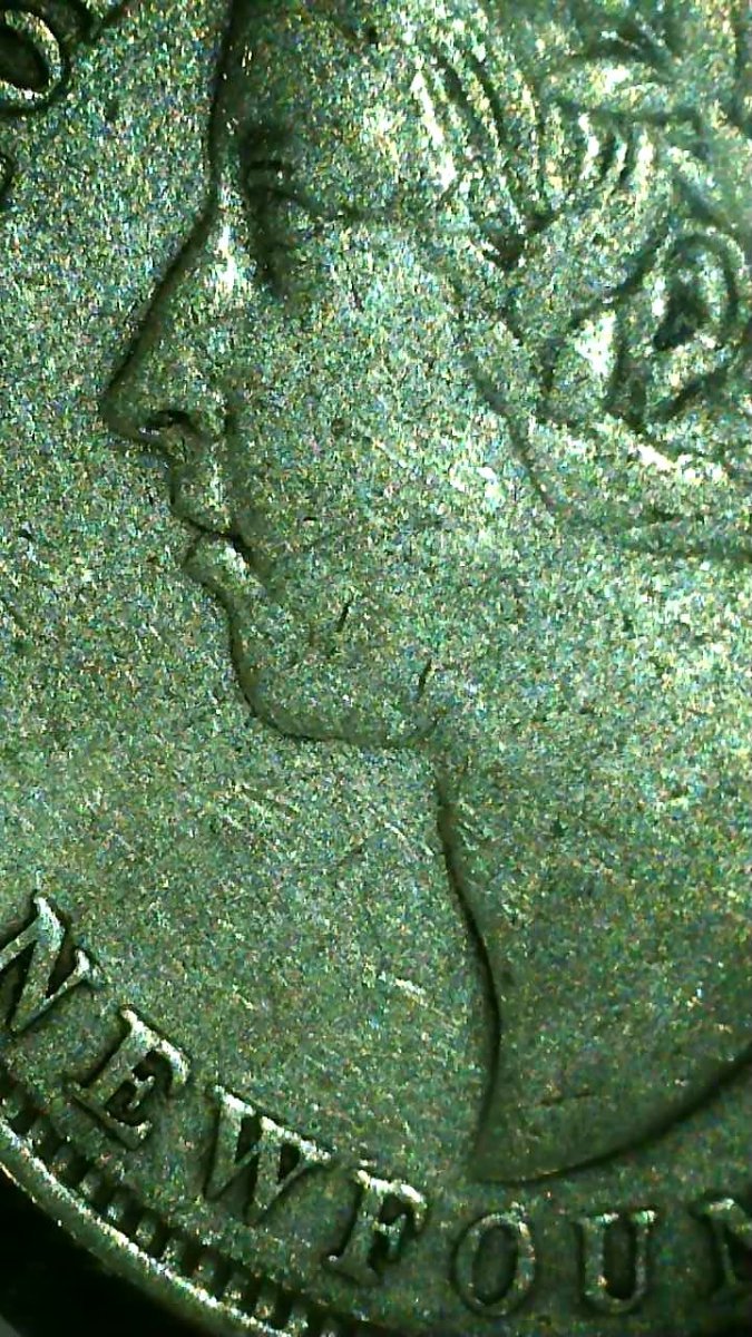 1896-20-Cent-Newfoundland?