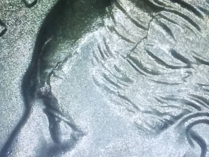 2021-P-Frankenstein-Roosevelt-Dime-Possible-Error