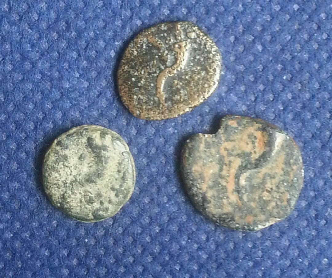 HI-There-Ptolemaic-Coin-Ids?