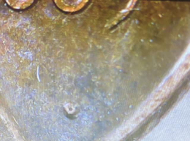 2005-D?-Cent-Mint-Mark-Error?