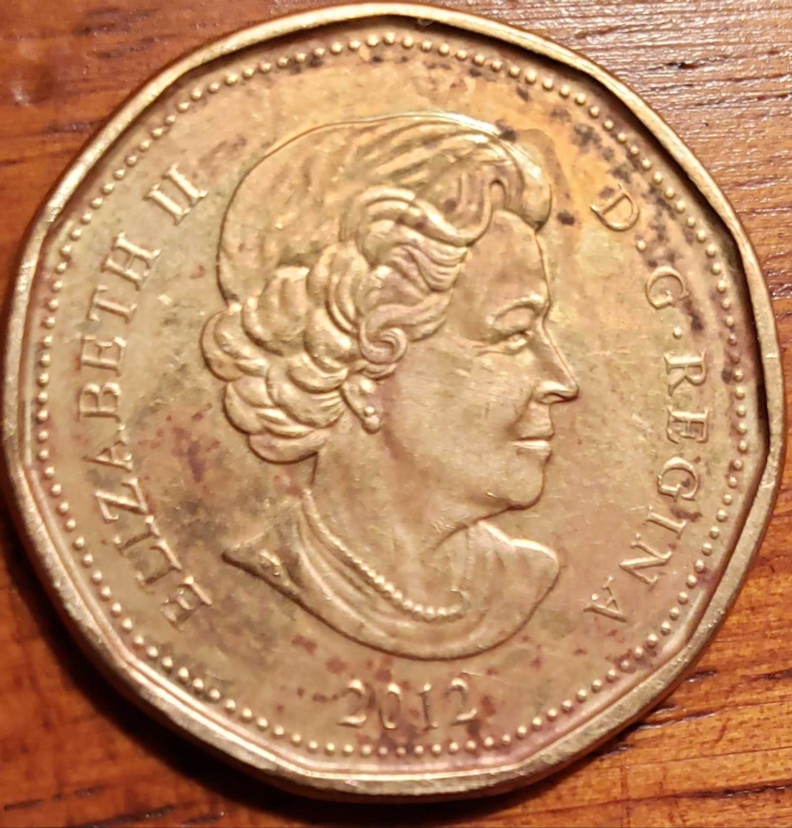 Pic-Of-Loonie-For-My-Previous-Post-For-Help