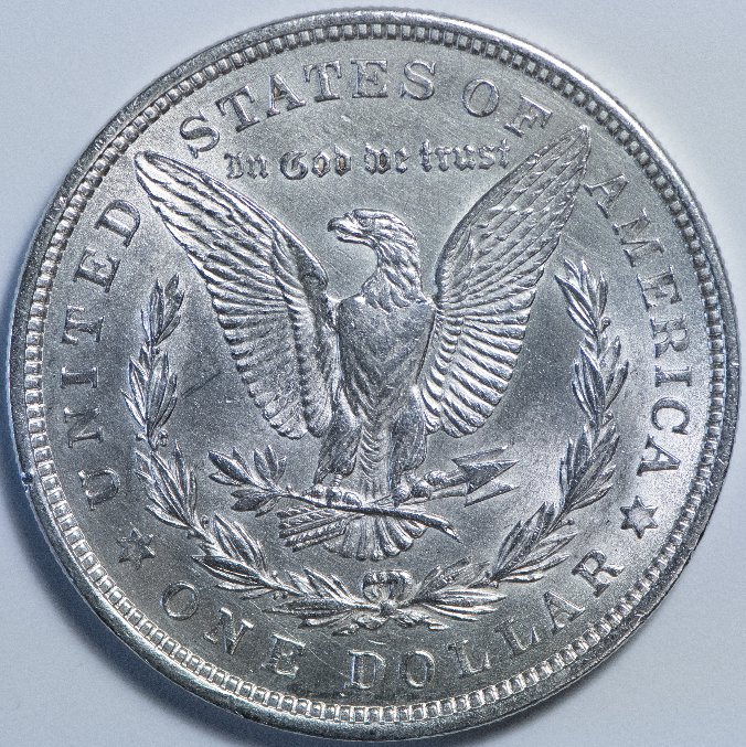 What-Do-You-Think-Of-This-Morgan-Dollar?