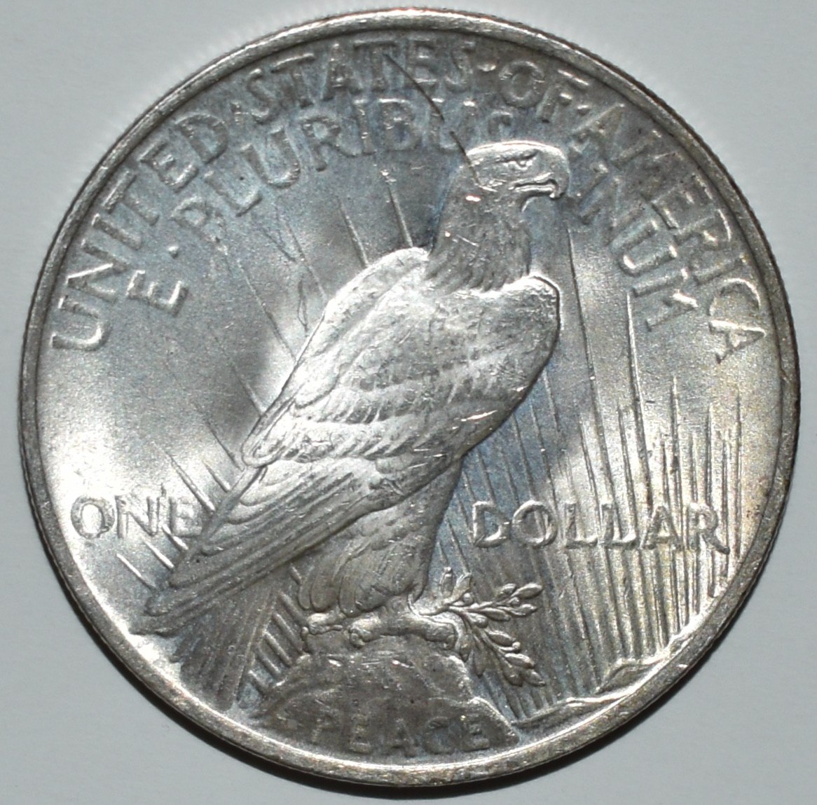 1923-P-Peace-Dollar-For-Grading