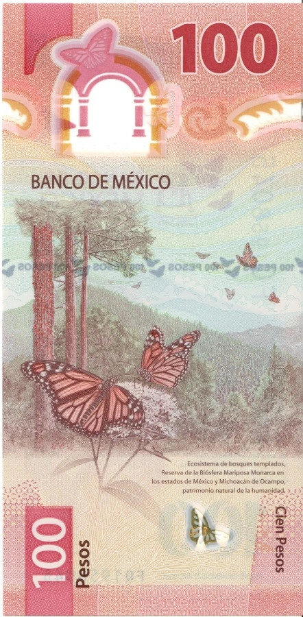 A-Lot-Of-Axolotls:-The-Amphibian-Themed-Banknote-Mexicans-Don't-Want-To-Spend