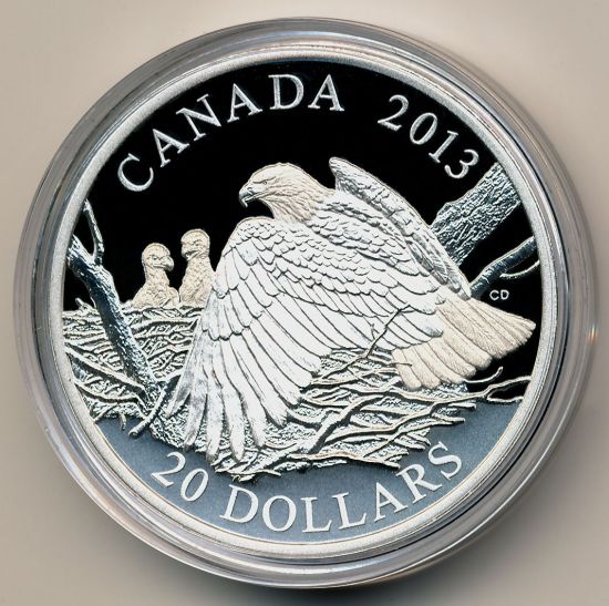 Post-Your-Bird-Coins
