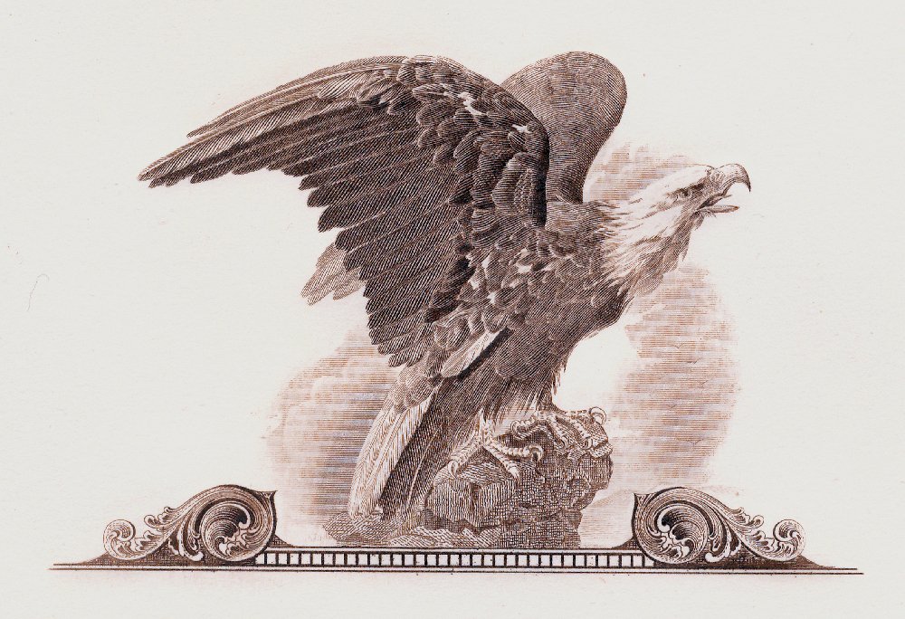Bald-Eagle-Vignettes