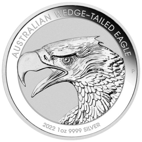 2022-Australia-Wedge-Tailed-Eagle