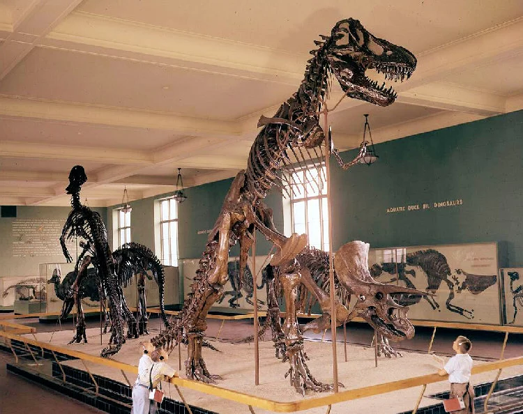 Commems-Collection-Modern:-What-If?-1995-American-Museum-Of-Natural-History-125th-Anniversary