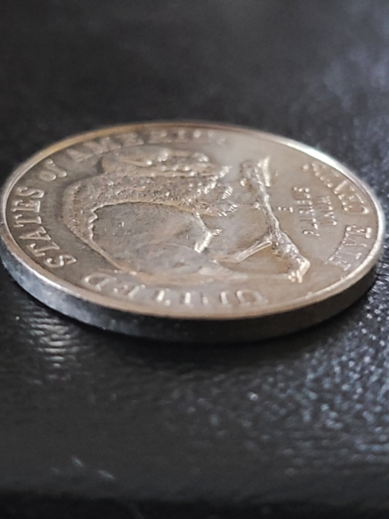 1995-P-Nickel-Possible-Error?