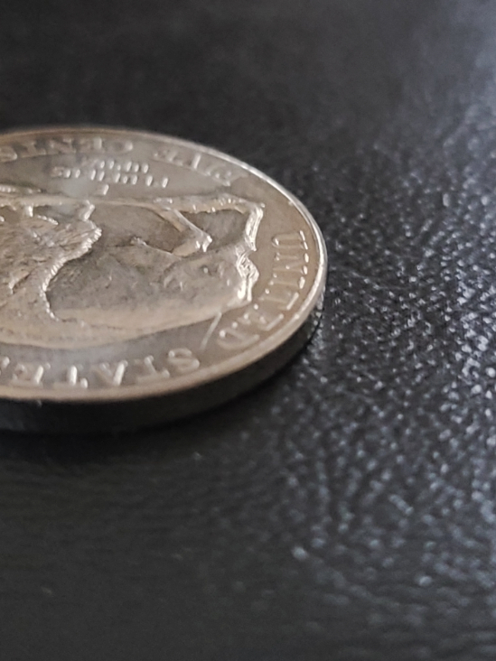 1995-P-Nickel-Possible-Error?