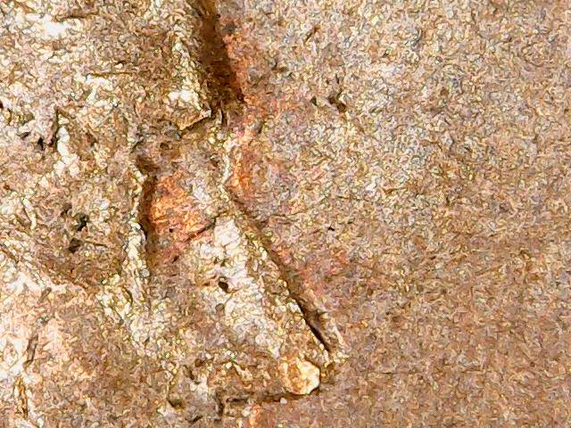Found-This-1969-S-Penny-MD-I-Think
