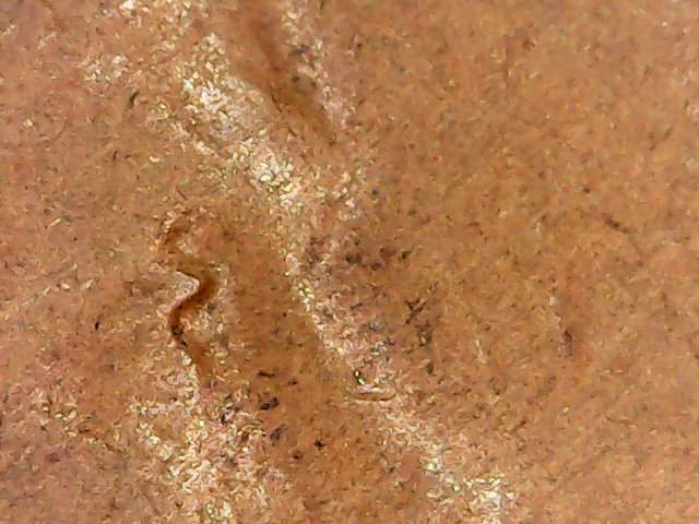 1929--D-Wheat-Penny-RPM