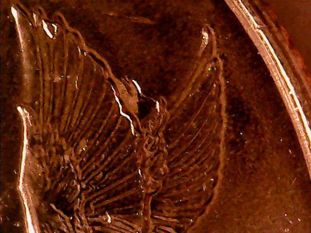 2003-P-Arkansas-Quarter-Die-Cracks-And-Chips
