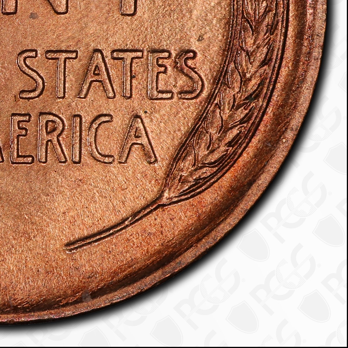 1911-D-Lincoln-Wheat-Cent-RPM-004,-FS-504-Graded-Questionable-Color?