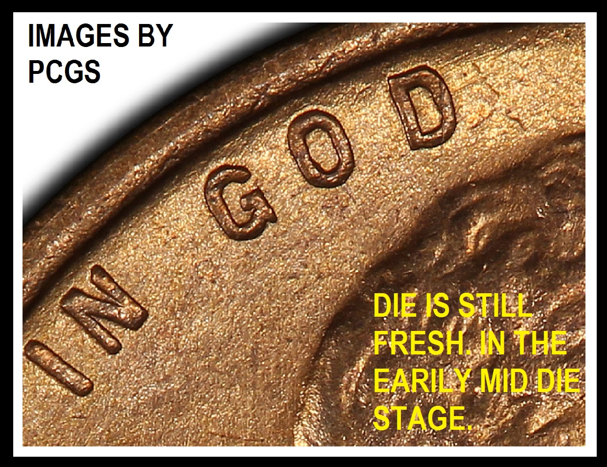 Die-Wear-On-Wheat-Cents