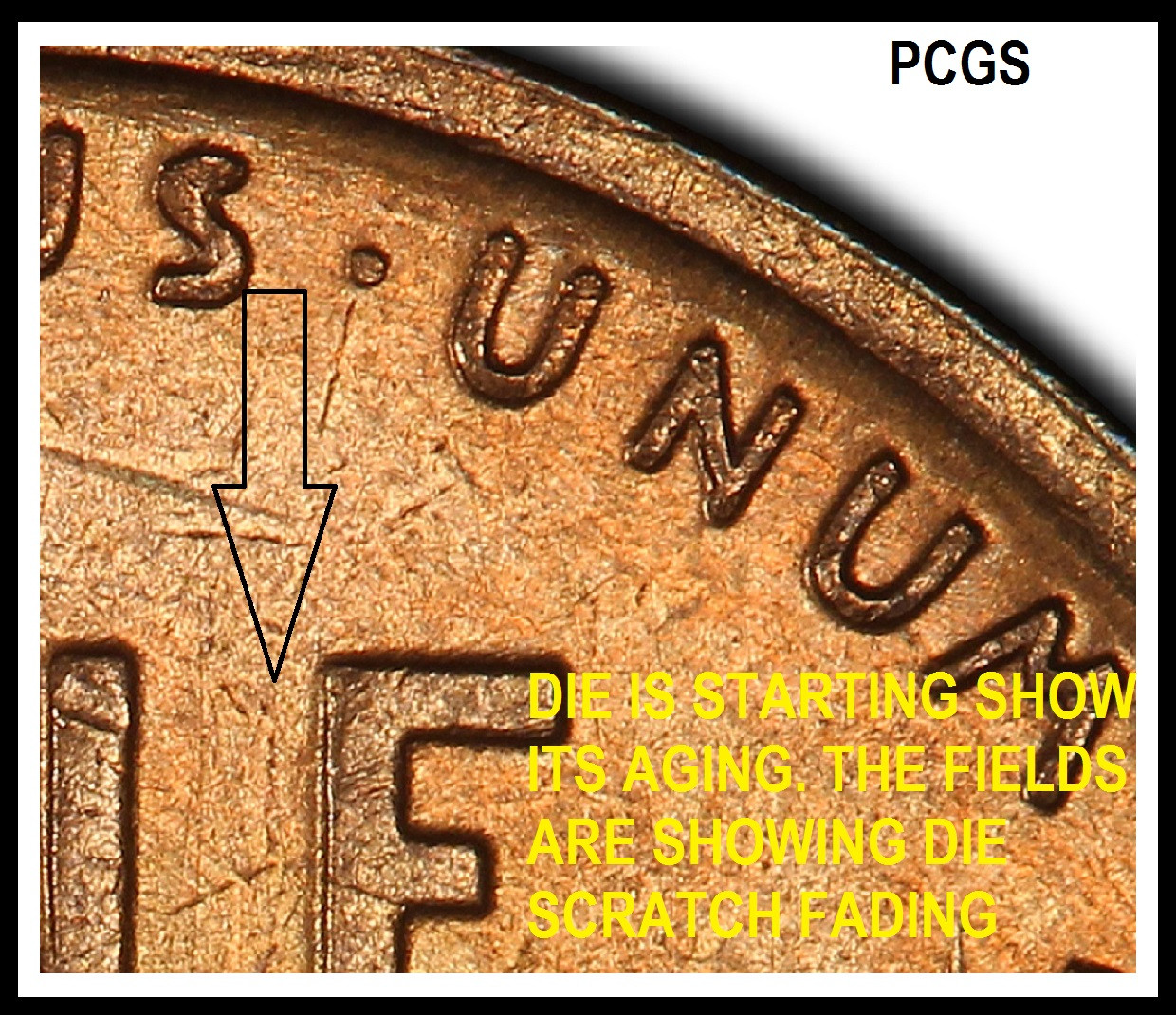 Die-Wear-On-Wheat-Cents