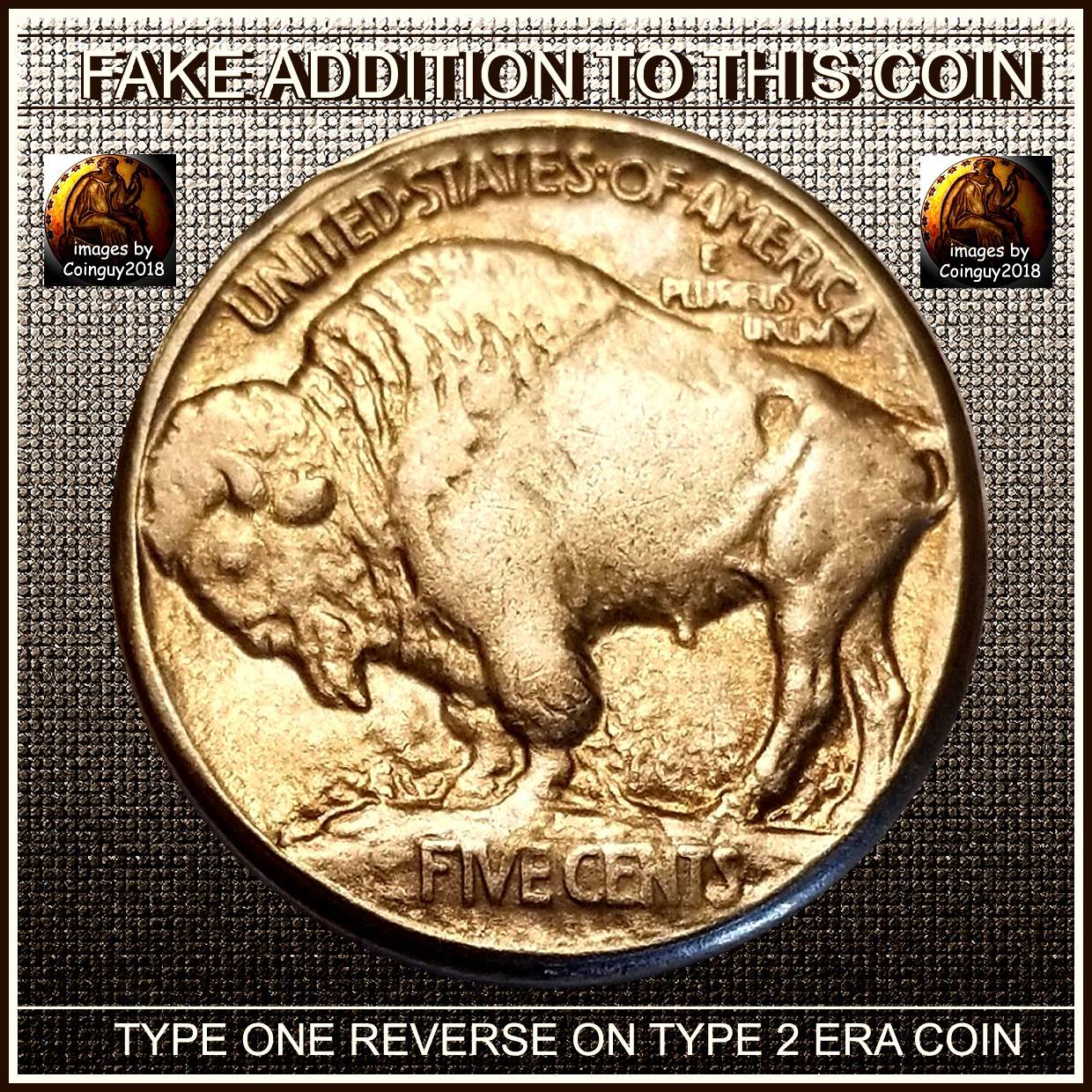 Could-This-1934-P-Buffalo-Nickel-Be-Real?--Five-Cents-On-Raised-Ground