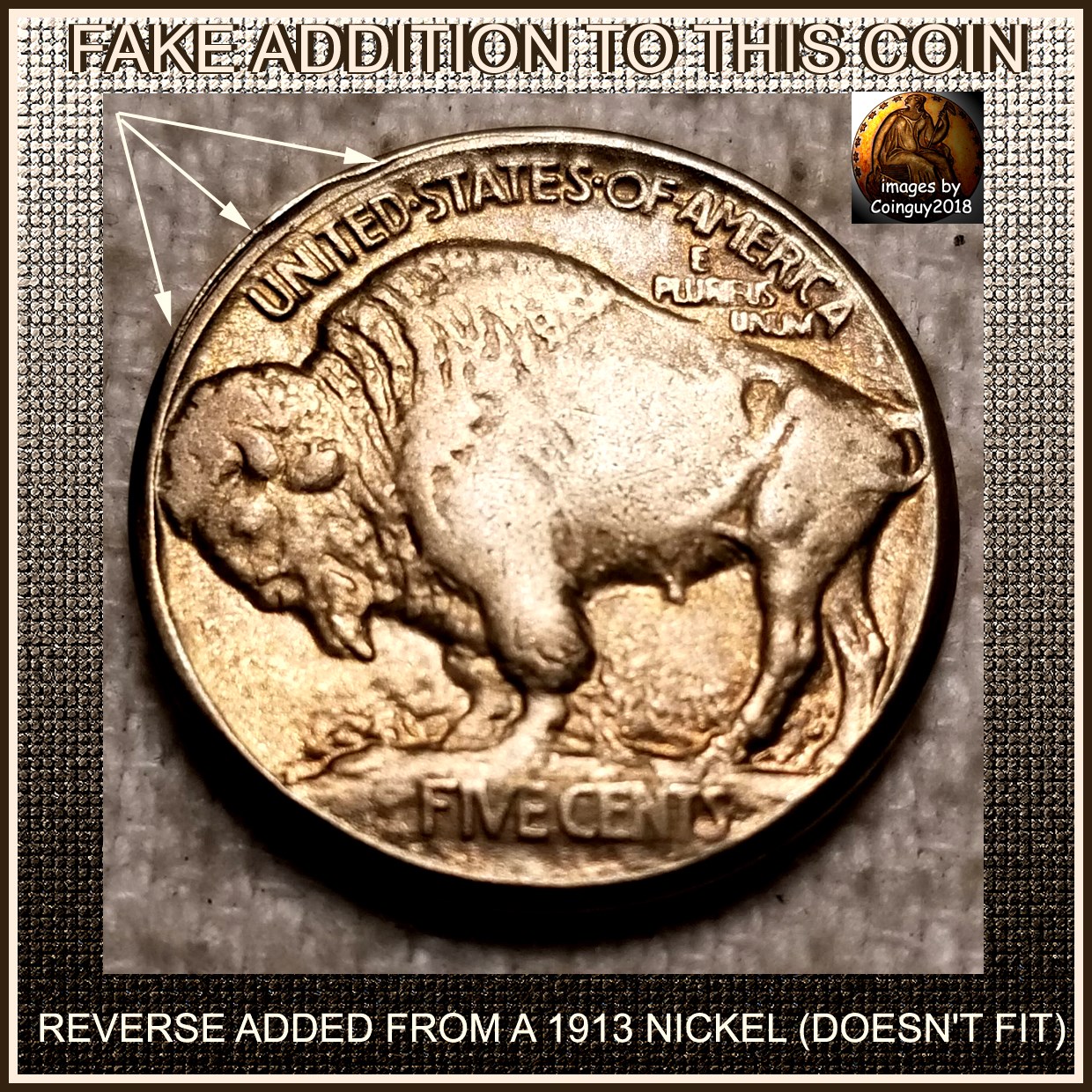Could-This-1934-P-Buffalo-Nickel-Be-Real?--Five-Cents-On-Raised-Ground