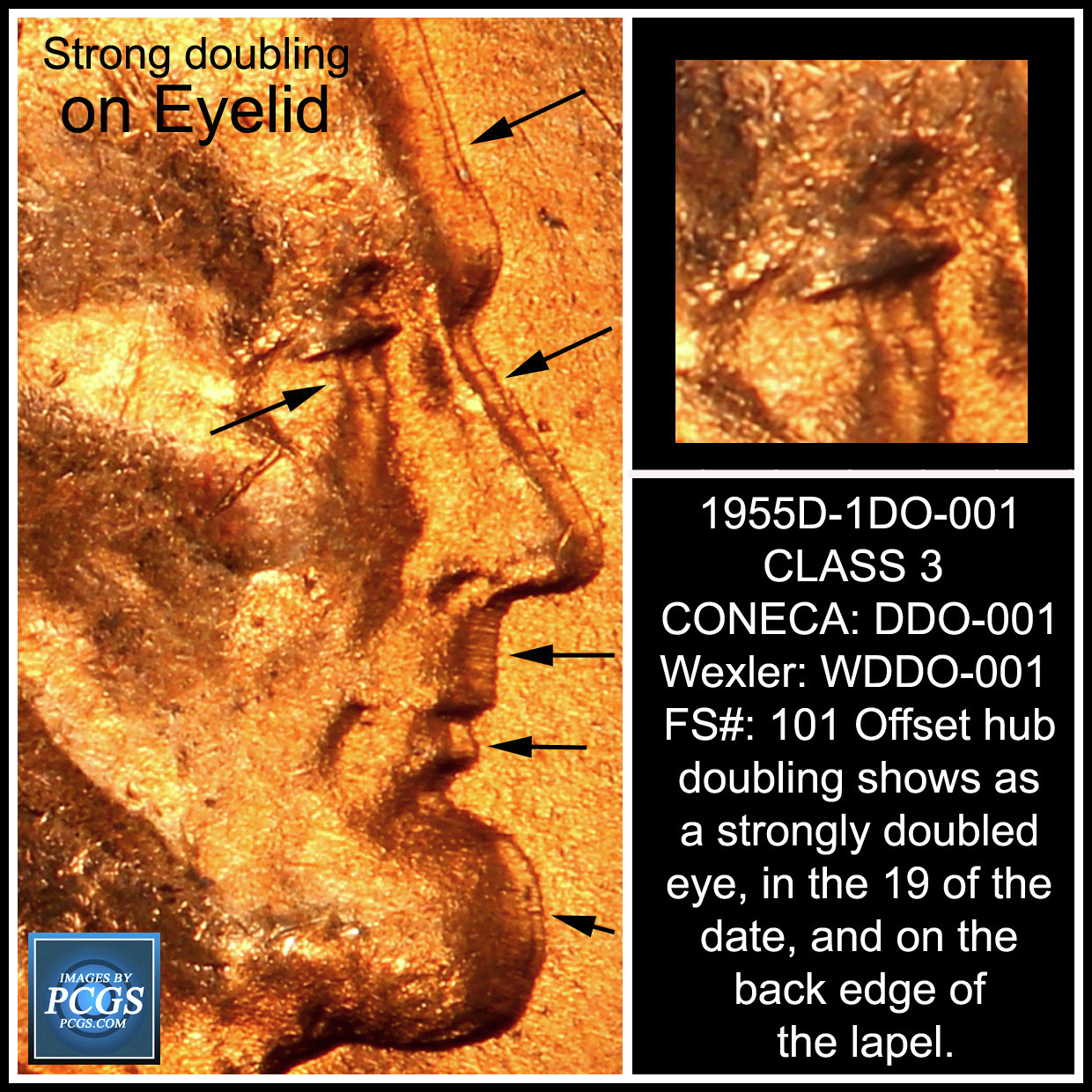 1955-S-DDO-001-Check-Pls