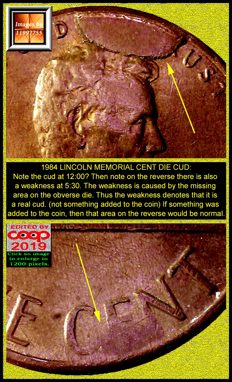 1984-P-LMC-Decent-Size-Cud