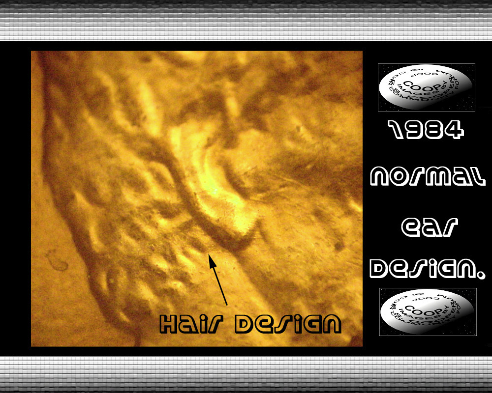 1984-P-Doubled-Ear?.