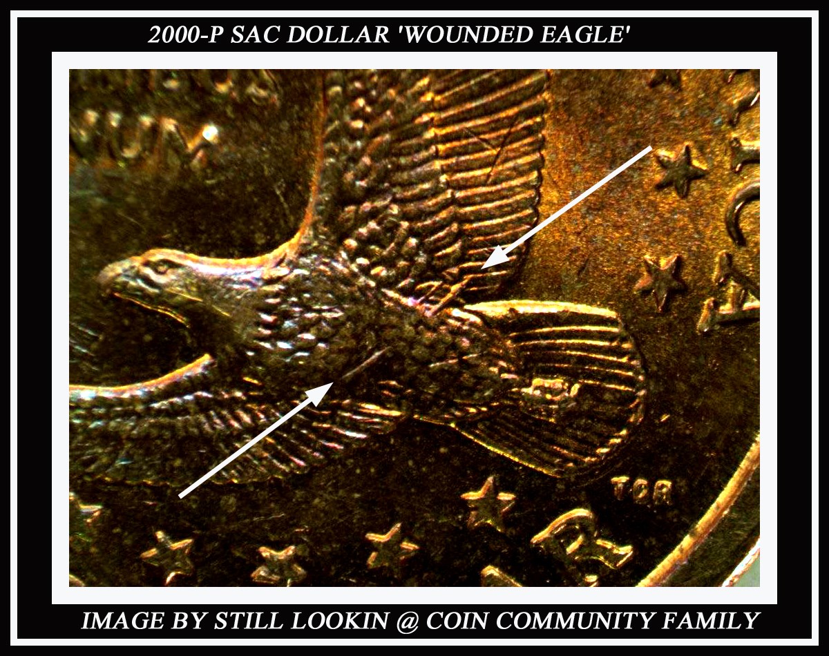 Hunting-Dollar-Rolls,-Found-A-Possible-Sacagawea-Wounded-Eagle.-Opinions?