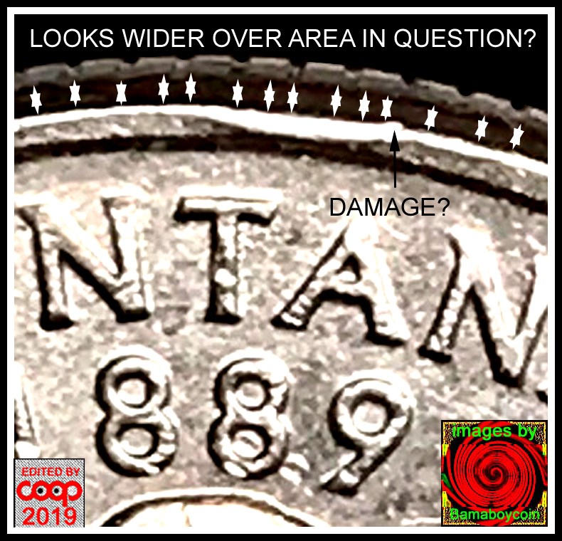 2007-Montana-Quarter-Reverse-Rim-Cud-Possibly?