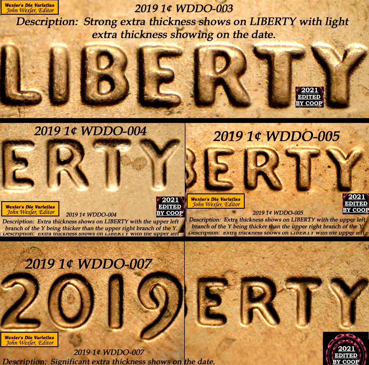 2019-DDO-Shield-Cent