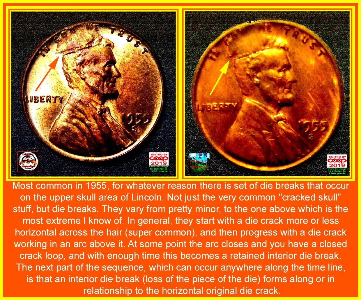 1955-S-Lincoln-Wheat-Cent---Cud,-Interior-Die-Break-And-RIDB---MS