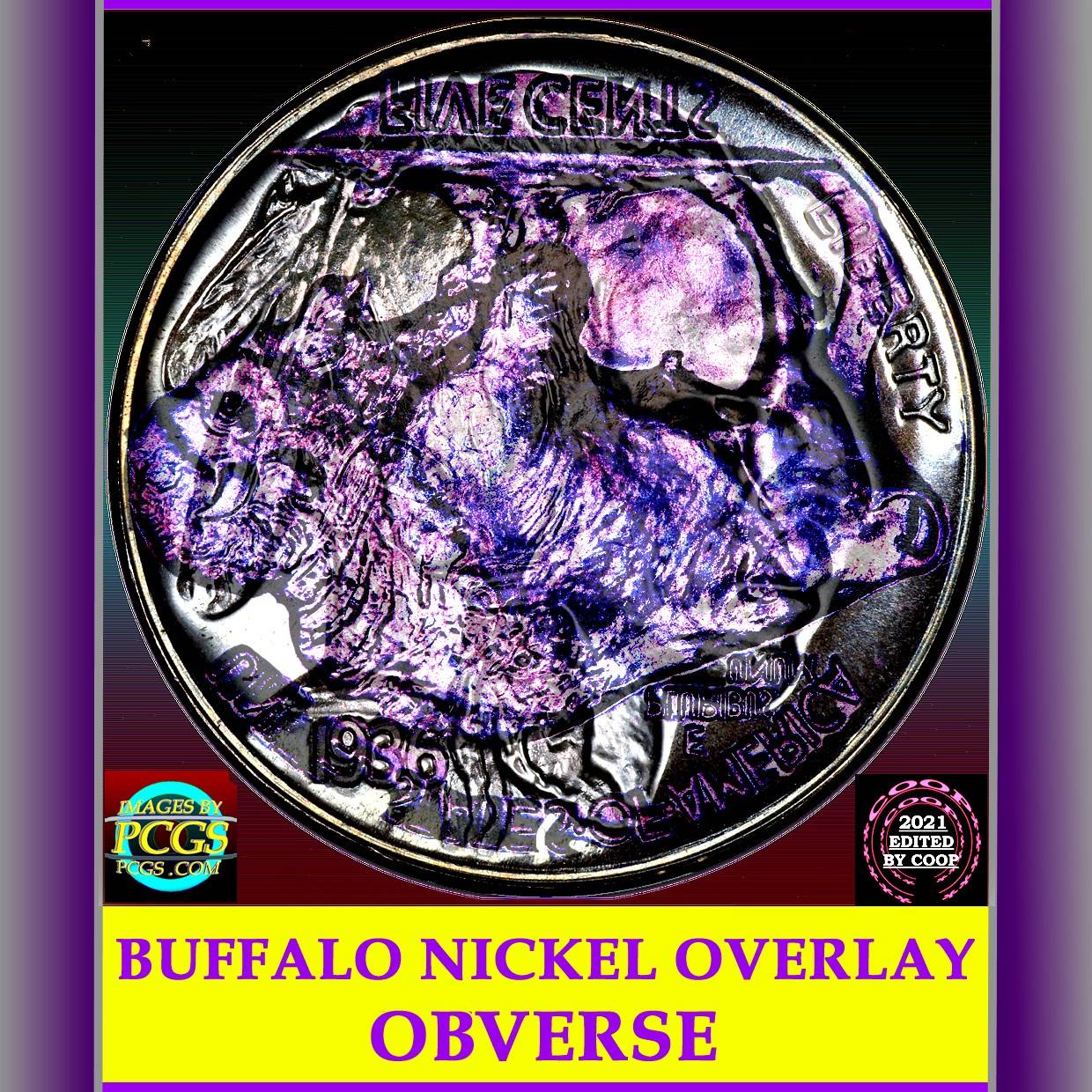 Buffalo-Nickel-Die-Clash-Error?