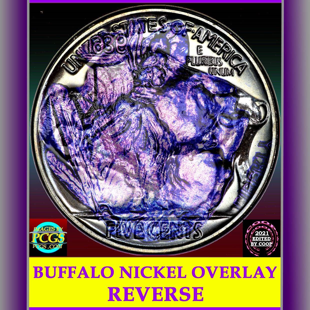 Buffalo-Nickel-Die-Clash-Error?