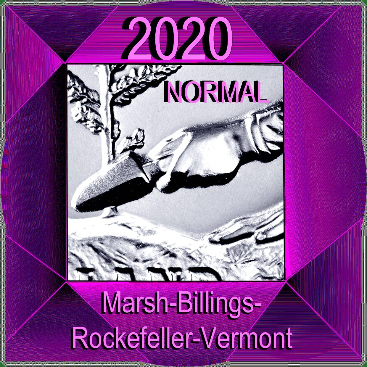 2020-D-Mbr-Quarter-What-Caused-Its-Appearance?