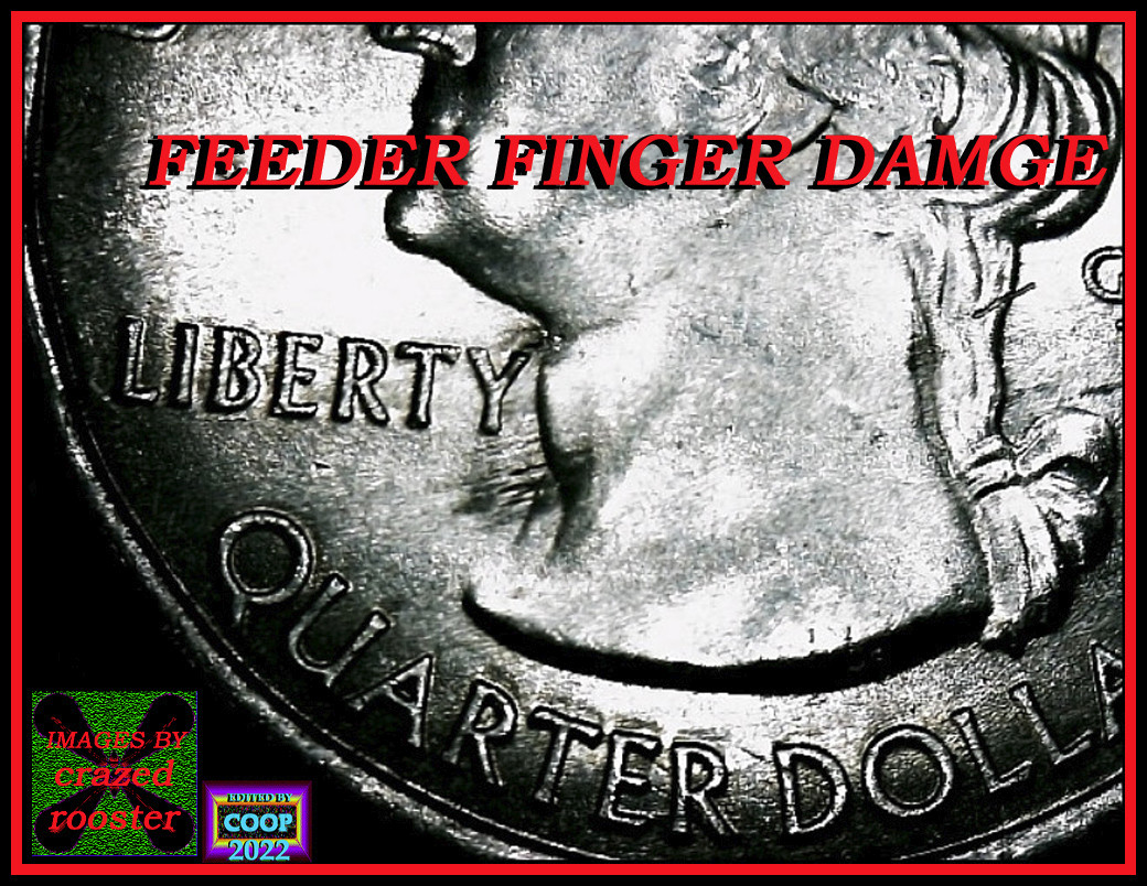 2017-P-Quarter-Feeder-Finger?