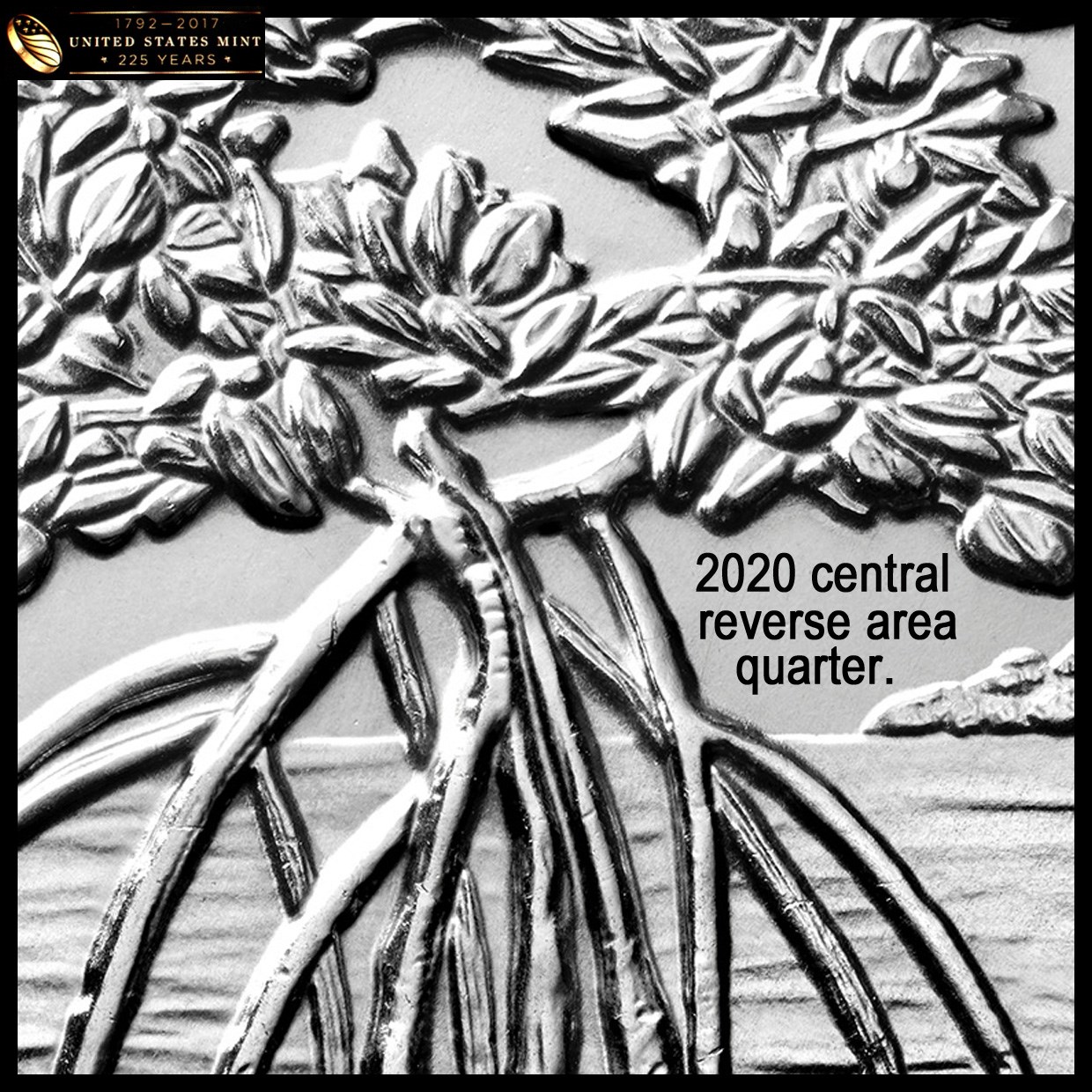 2020-P-Salt-River-Bay-Quarter-Extra-Partial-Branch-On-Reverse?
