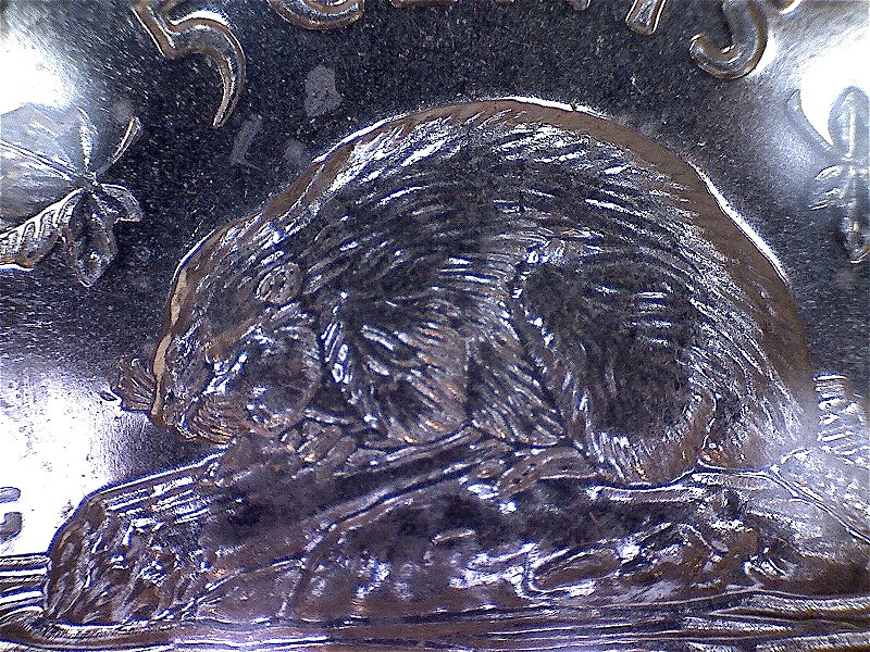 2001-P--Nickel-Extra-Whisker-Or-Broken-Whisker-Beavers-Face-Bottom-Left-.