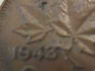 1943-Kg-Birds-Nest,--Zoell-#e66n-Pic's-Please-Of-Your's