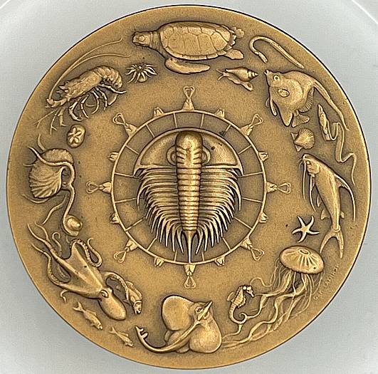 Post-Your-Coins-And-Medals-Designed-By-A-Woman