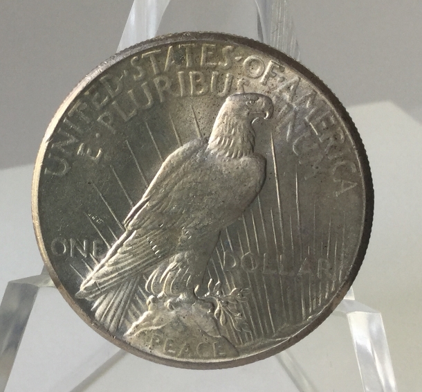 1928-P-Peace-Dollar---Should-I-Have-TPG-Graded-For-Best-Price?