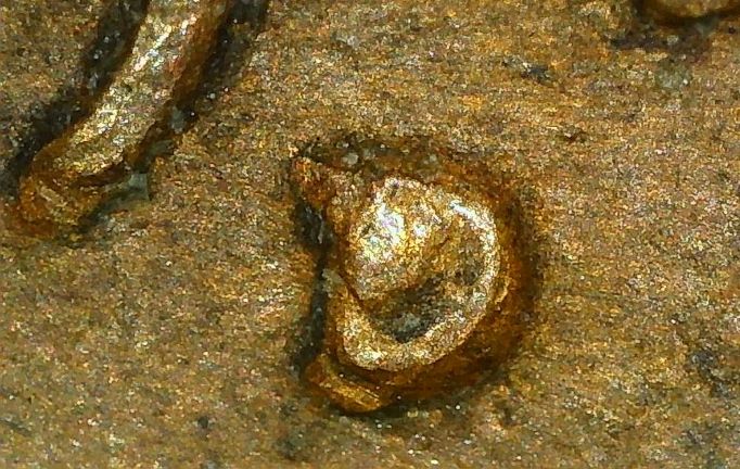1949-D--Lincoln-Wheat-Cent